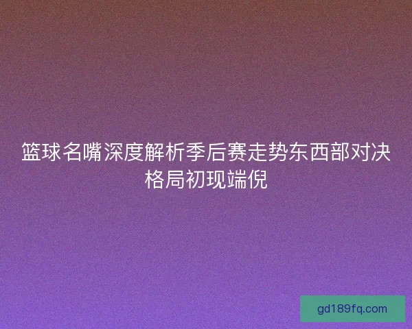 篮球名嘴深度解析季后赛走势东西部对决格局初现端倪