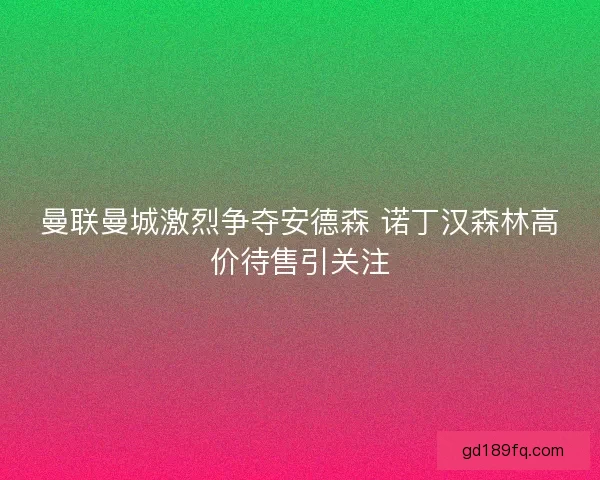 曼联曼城激烈争夺安德森 诺丁汉森林高价待售引关注